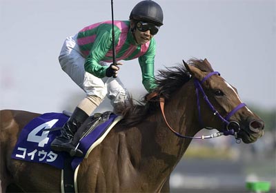 20070513-00000004-kiba-horse-view-000.jpg