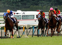 20071015-00000000-nks-horse-thum-000.jpg